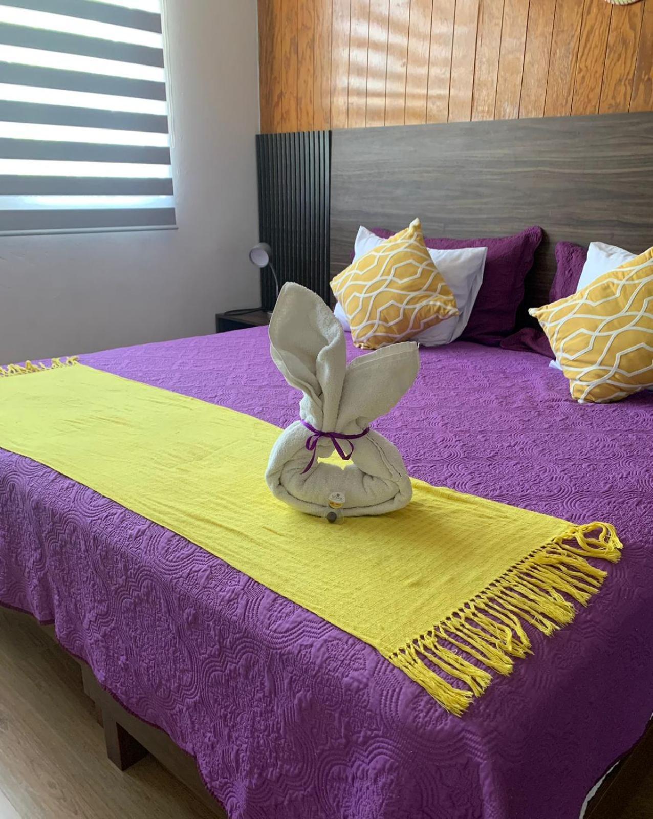 Pino Apartment Oaxaca Екстериор снимка